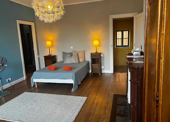 Bed and breakfast Maison Gally Historic Luxury Carcasona